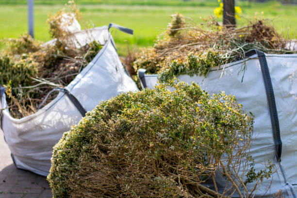 Best Junk Removal and Recycling  in Robinwood, MD