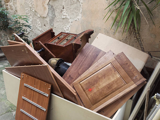 Yard Cleanup Services in Robinwood, MD